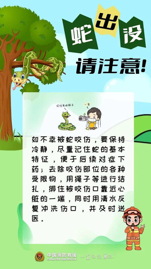 “儿乐”当前这个名字的拆解（极其主观）