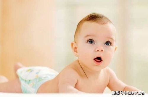 有没有好听又稀少的男孩名字，姓李的宝宝取名叫什么好呢？