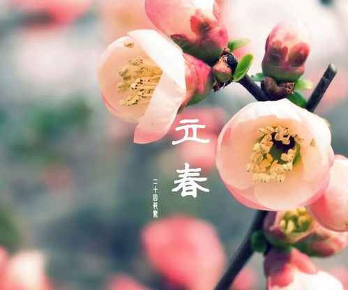 五、  立春风水布局与商业机遇的深度关联