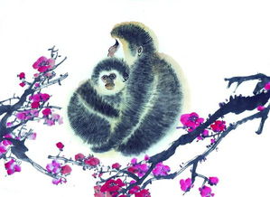 申猴：飞星借力与五行当令的双重加持