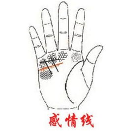 手掌颜色暗淡：财运不佳及经济困境