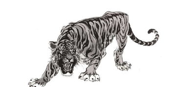 动物兄弟第四季免费全集中的动物兄弟十二生肖运势具体运势如何？