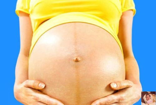 1.1 胎盘血液穿刺与先天信息获取