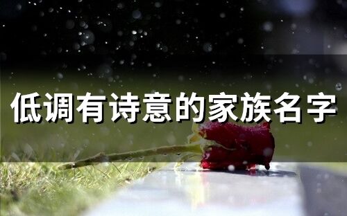 诗意人海中，那两个字的疯狂男生，他的网名究竟叫什么？（烂版）