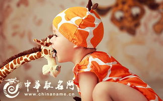 女孩篇：温婉灵动又不失贵气