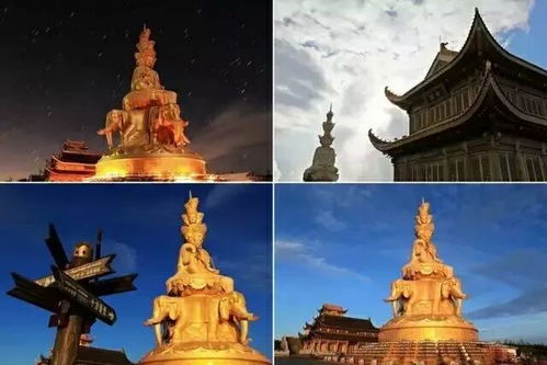 4. 专业引导与知识传递之服务溢价
