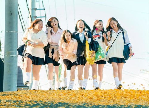 一、  昵称的文化渊源：从“字”到“情”的历史演变