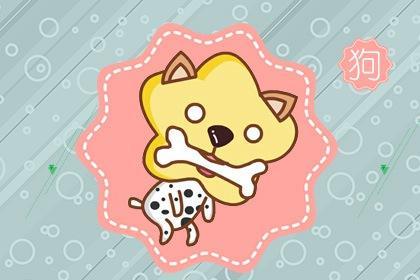 2026年属狗女性全年爱情运势具体如何？