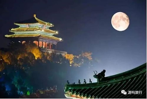 胆较大者的探险