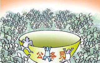 一、  官星与印星：公职职业的命理基石