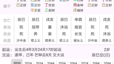 如何免费进行八字科学排盘？