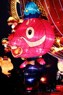 元宵节是哪个生肖的节日？元宵节打一生肖是哪个生肖？