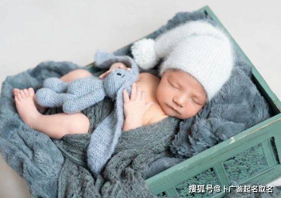 4. 动物植物式——以父母喜爱之动植物为灵感来源