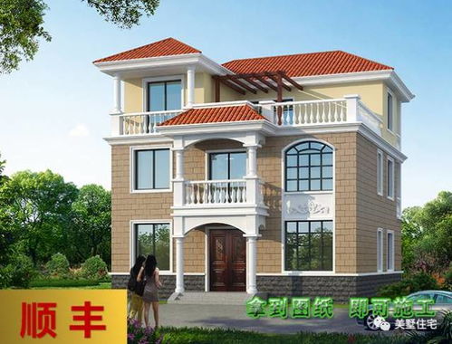 枯木之殇：警惕地气失衡与运势下滑