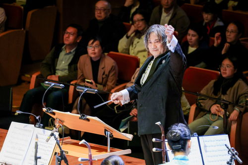 《诗的中国》如何解锁诗乐和鸣的新境界？——基于国学视角的深度学术分析报告