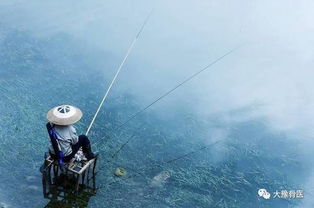 如何通过八字算命得知自己的沐浴运？八字看海外运势如何判断？