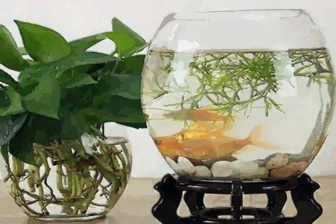 五、  器皿形态学与空间比例的美学规范