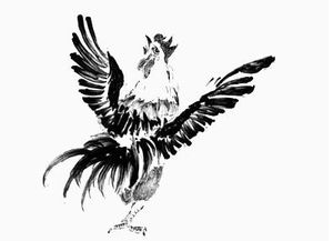 争鸡是哪年生肖鸡，鸡后面又是哪个生肖？