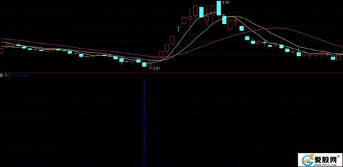 本命年测算准确率高达98%的神秘方法究竟隐藏着怎样的神奇奥秘？