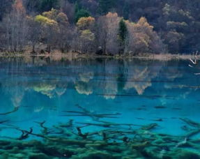 住宿餐饮：省钱又舒适的选择