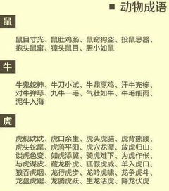 4. 人际关系与伦理评价类