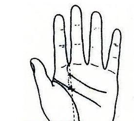 手相中哪一种手相对感情的需求最为强烈？