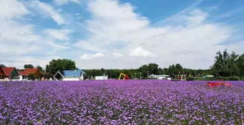 太原青草坡：2026年黄历凶吉与门票玄学