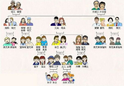 （一） 直系长辈的遴选原则与权威象征