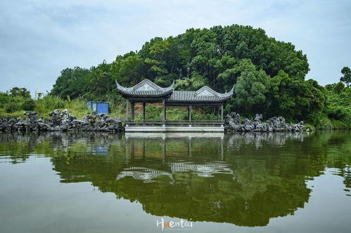 红木小镇：坐船穿越富丽宫殿