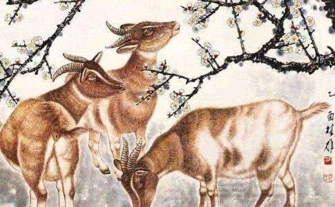 为什么属羊的人命运普遍被认为不好？