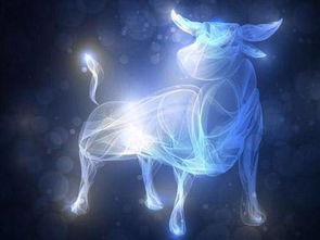 陈茂源金牛座分析详细吗？狮子座性格特点有哪些？