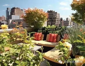 楼顶种草风水上可行吗？