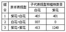 结论预测