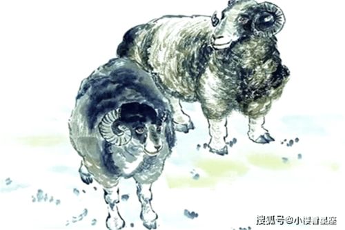 属羊八字喜火的人2026年运势如何？属羊2026年出生运势详解？