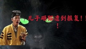 都市传说与超天然现象：屯门公路“猛鬼村”