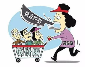 解决方案：从依赖到自主的洗护策略