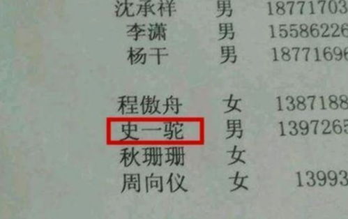 精选真公姓男孩名字，如何传承文化之美？