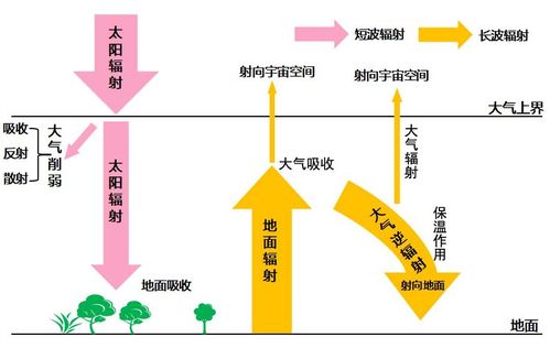 2. 规避强光直射的策略