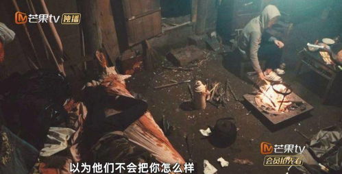 三、 血泪斑斑与鬼哭狼嚎：凄凉景象的象征意义