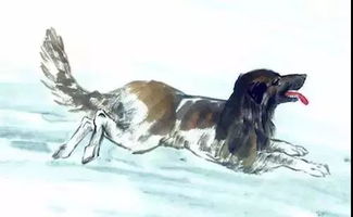 2026年属狗人1月份财运如何，与1970年和2026年事业运势有何关联？