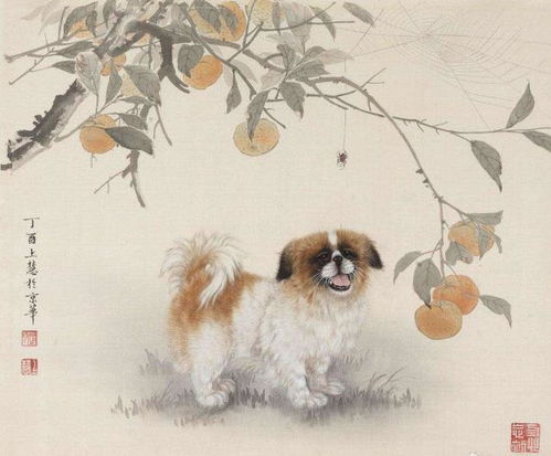 94年属狗人遇到蛇年运势如何，财运是不是会很旺？