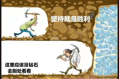 猪：豁达乐观与积极向上