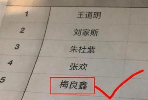 好听的名字让人闪闪发光