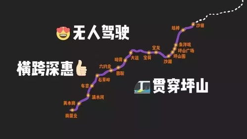 探究背景与目的