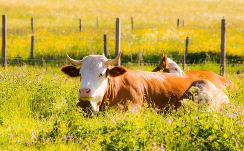 水与草的玄机：为什么非要带这两个字根？