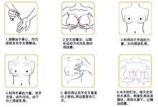 适中形态：平衡心态与适应嫩力的理想范式