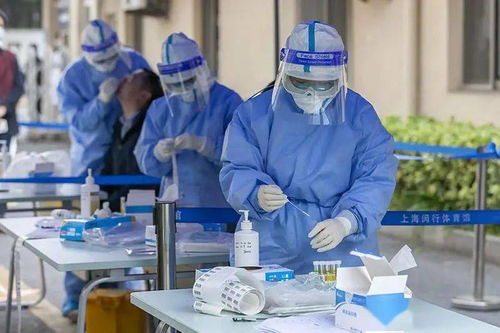 双子座适合报考哪些大学专业？