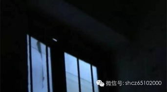 虚幻与真实的边界