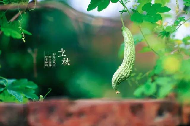 二、 传统方式习俗与文化底蕴意义