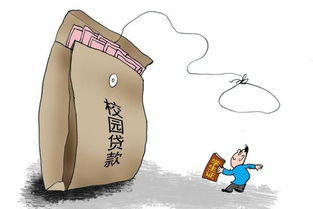 ：创业成功与校园隐秘之间的交叉视域
